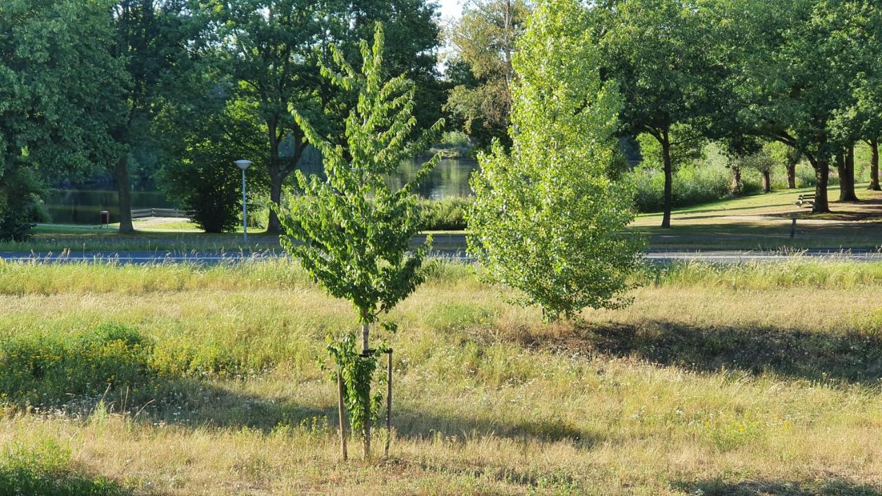 Logies Bij Wandelpad Te Holten Exterior foto
